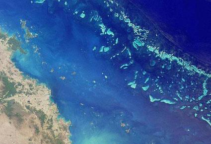 إسبح تحت سطح الماء مع Google SEAview